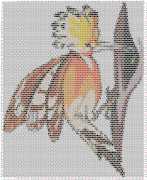 pattern Animals Birds
