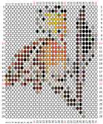pattern Animals Birds