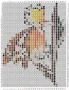 pattern Animals Birds