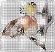 pattern Animals Birds