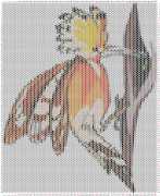 pattern Animals Birds