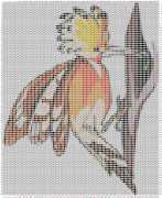 pattern Animals Birds