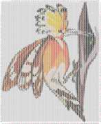 pattern Animals Birds