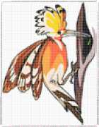 pattern Animals Birds