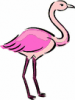 image  Animals 