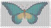 pattern Animals Butterflies