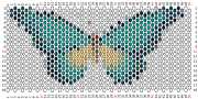 pattern Animals Butterflies