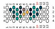 pattern Animals Butterflies