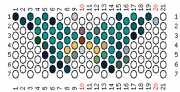 pattern Animals Butterflies