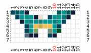 pattern Animals Butterflies