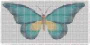 pattern Animals Butterflies