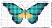 pattern Animals Butterflies
