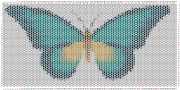 pattern Animals Butterflies