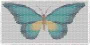 pattern Animals Butterflies