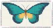 pattern Animals Butterflies