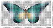 pattern Animals Butterflies