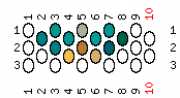 pattern Animals Butterflies