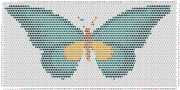 pattern Animals Butterflies