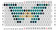 pattern Animals Butterflies