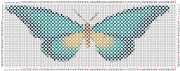 pattern Animals Butterflies