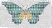 pattern Animals Butterflies