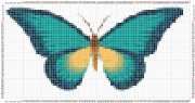 pattern Animals Butterflies