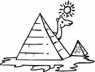 image Weather Sun Animals Camels