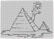 pattern Weather Sun Animals Camels