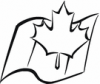 image  Countries 