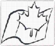 pattern Countries Canada