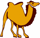 image Animals Camels