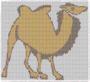 pattern Animals Camels
