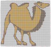 pattern Animals Camels