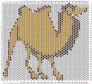 pattern Animals Camels