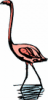 image  Animals 