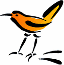 image Animals Birds