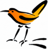 image  Animals Birds