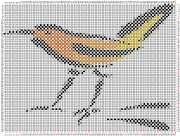 pattern Animals Birds