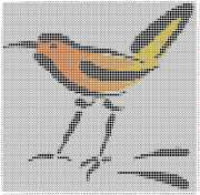 pattern Animals Birds