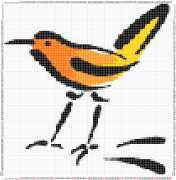 pattern Animals Birds