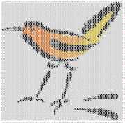 pattern Animals Birds