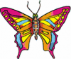 image  Animals Butterflies