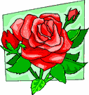 image Plants Roses