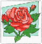 pattern Plants Roses