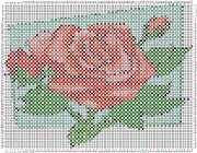 pattern Plants Roses