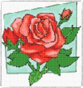 pattern Plants Roses