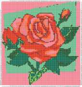 pattern Plants Roses