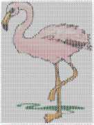 pattern Animals Flamingo