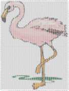 pattern Animals Flamingo