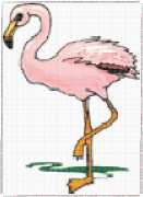 pattern Animals Flamingo